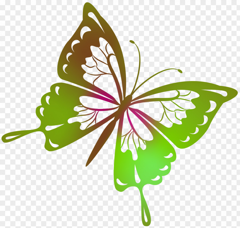 Pink Butterfly Drawing Clip Art PNG