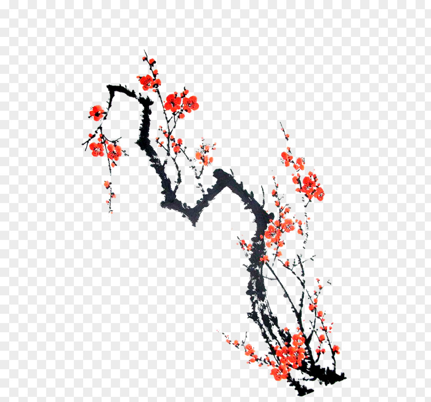 Plum Flower Blossom PNG