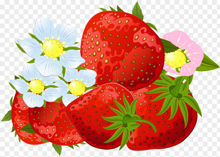 Strawberries Strawberry Amorodo Fruit Clip Art PNG