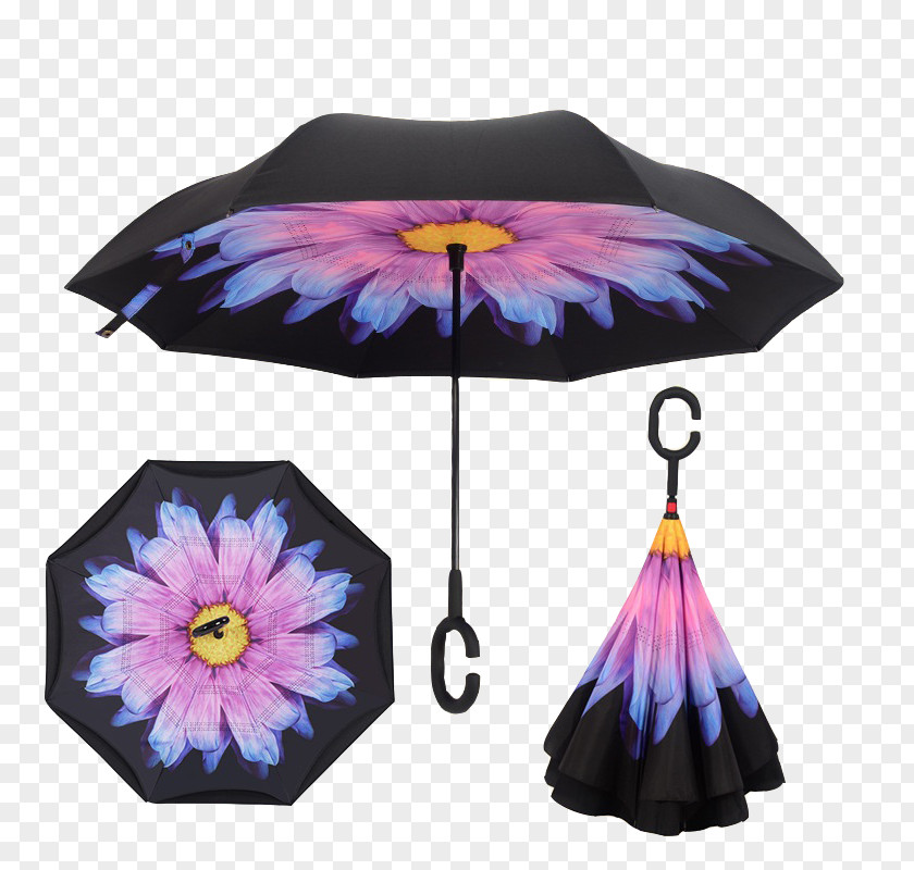 Umbrella Sun Protective Clothing Handle Rain PNG
