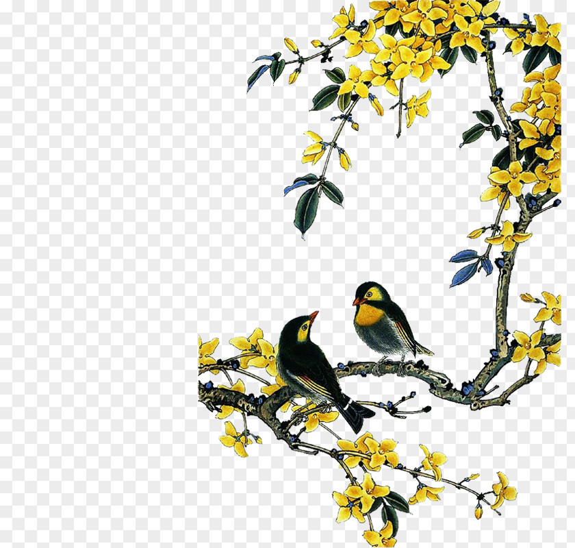 Yellow Peach Chinese Birds Painting Bird-and-flower PNG