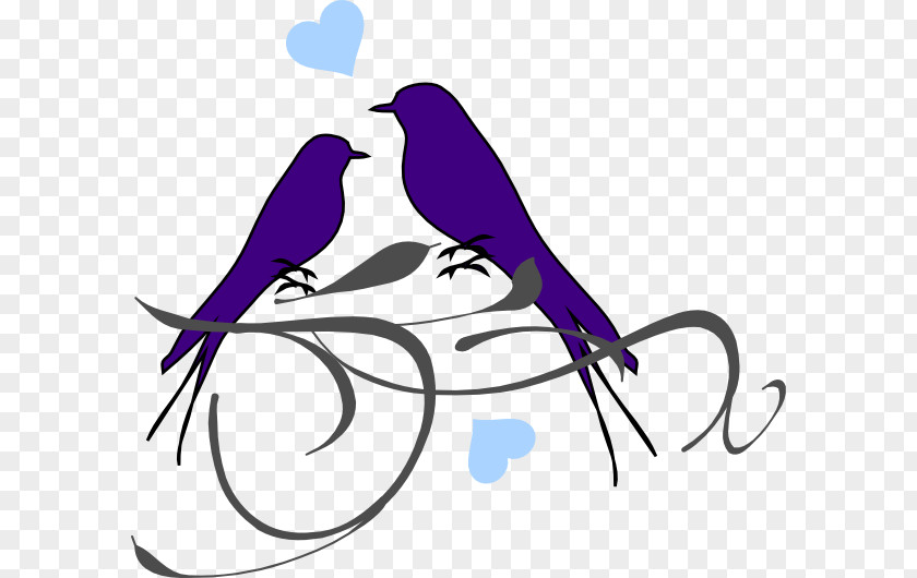 Bird Lovebird Drawing Clip Art PNG