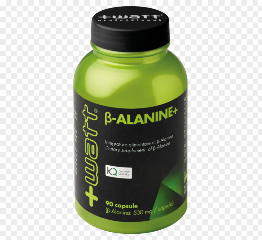 Dietary Supplement Glutamine Branched-chain Amino Acid Muscle PNG