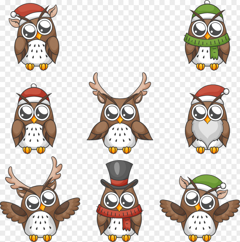 Lovely Big Eyes Owl Festival Euclidean Vector Christmas PNG