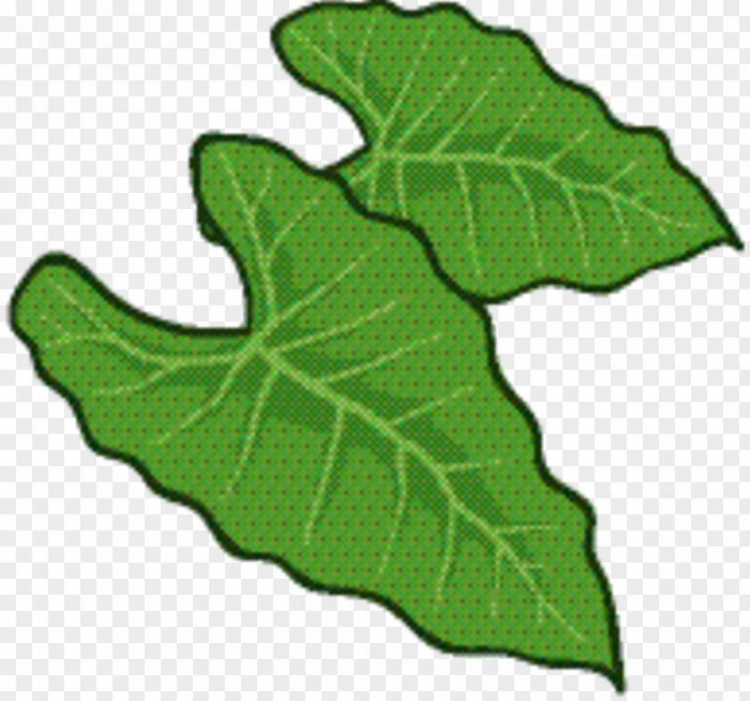 Plant Pathology Flowering Green Leaf Background PNG