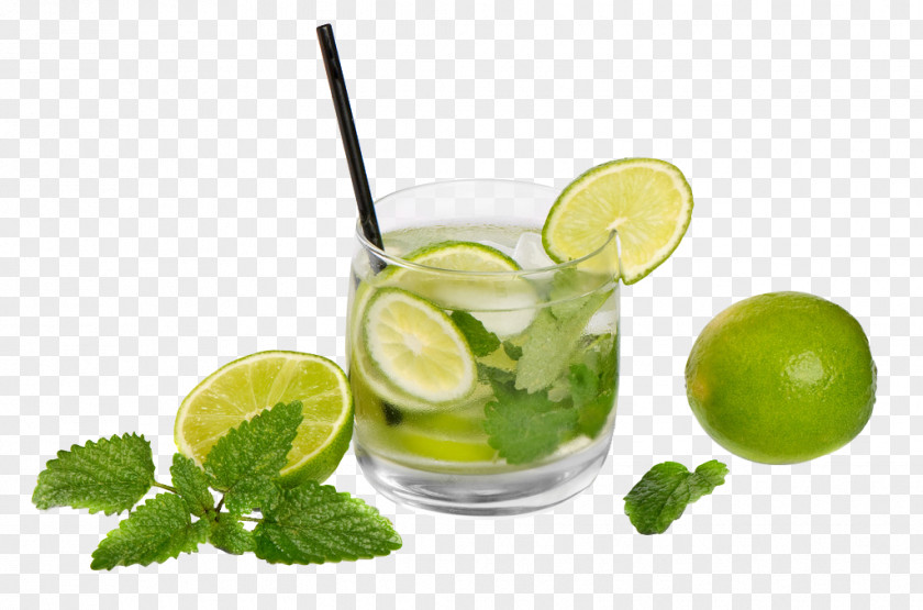 Cool Lemon Mint Tea Mojito Juice Cocktail Madlyvape.com Pasanda PNG