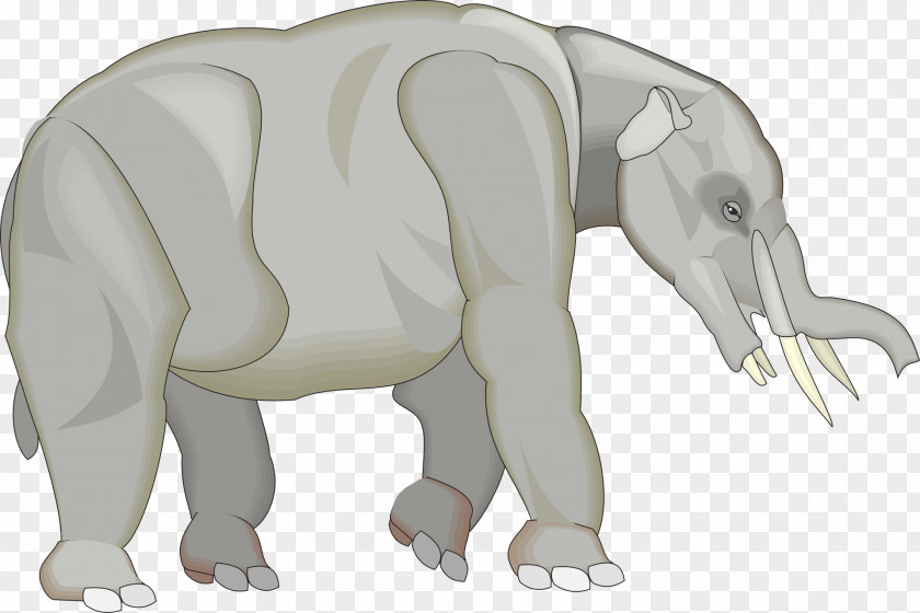 Elephant Tetralophodon Tusk Clip Art PNG