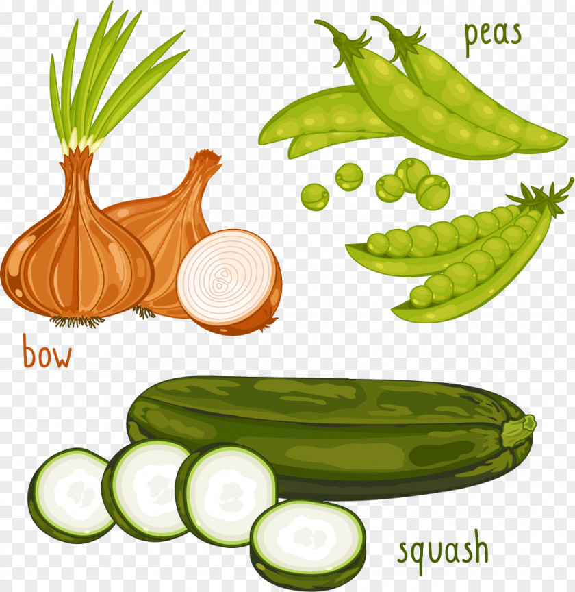 Garlic Vegetable Organic Food Pea PNG