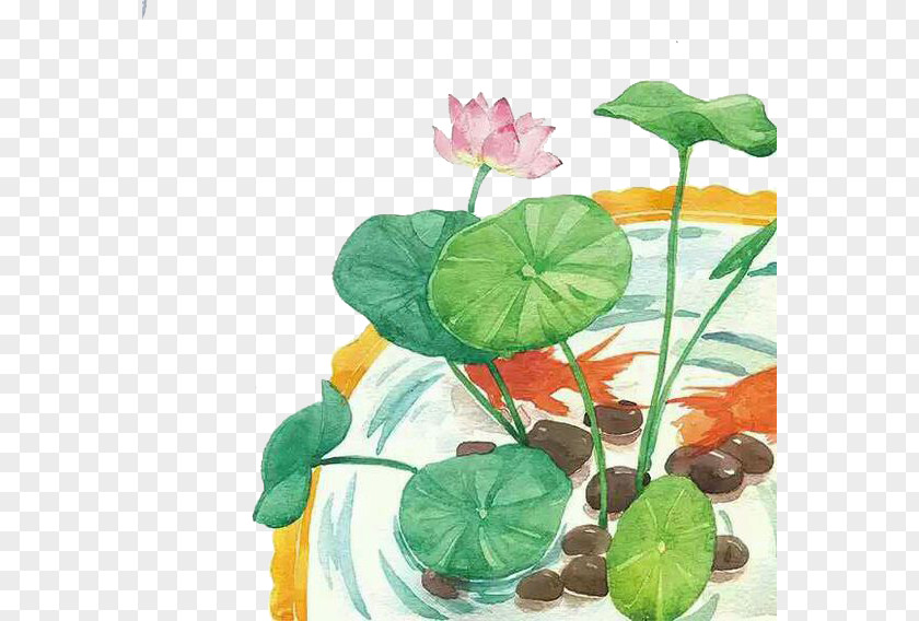 Lotus Cartoon Flower Illustration PNG