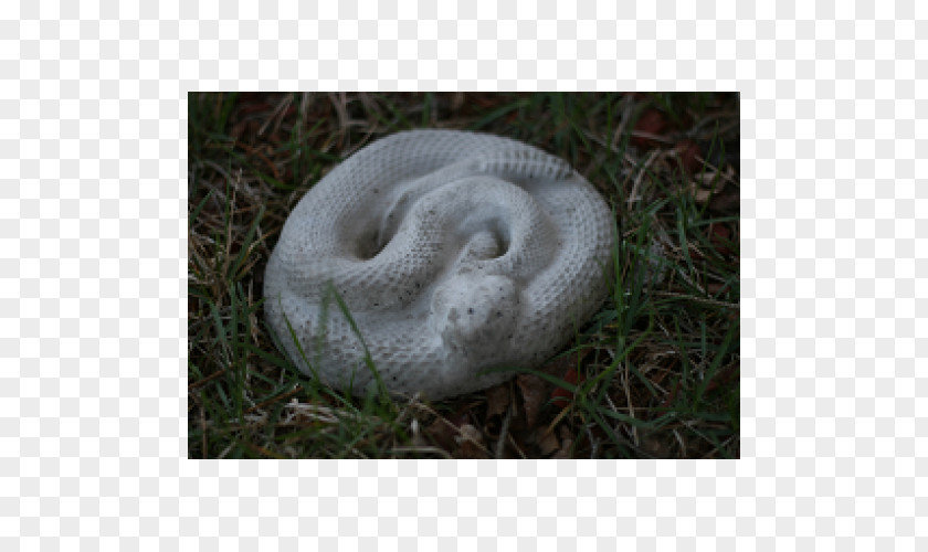 Snake Concrete Snakes Statue Stone Carving PNG