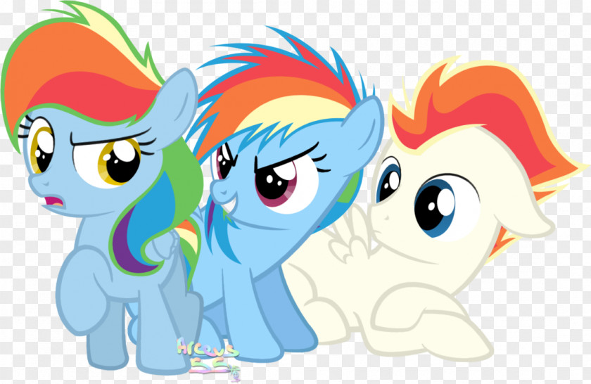 Colts Pony Horse Colt Mare Rainbow Dash PNG