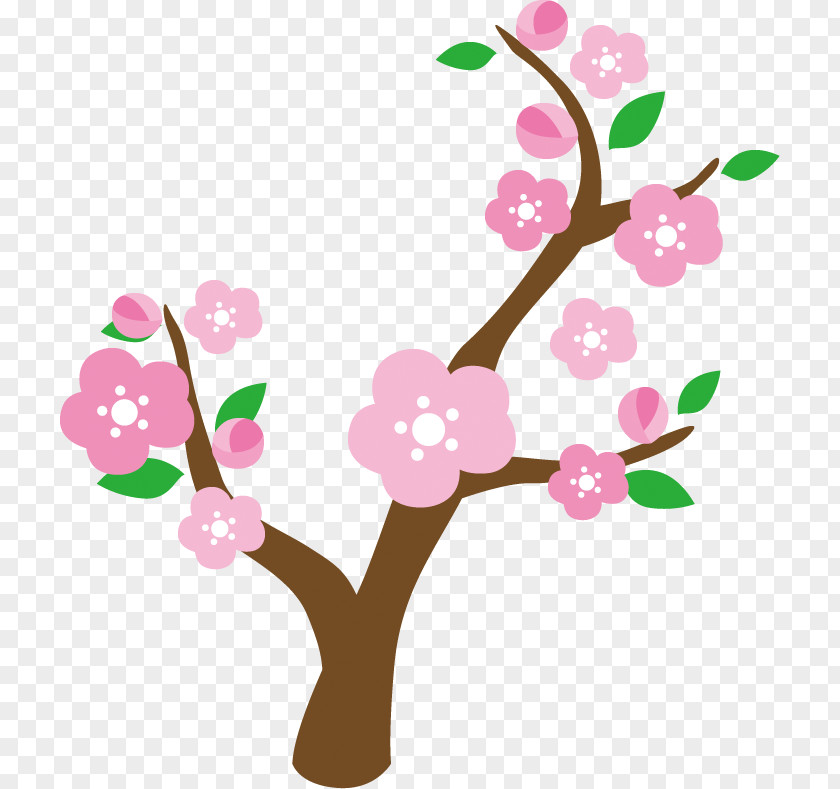 Plum Tree. PNG