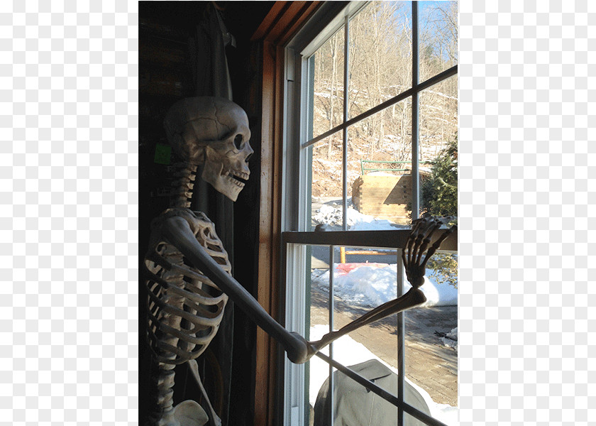 Window Interior Design Services Halloween Skeleton PNG