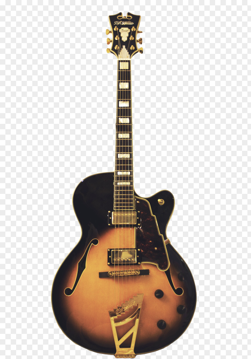 Acoustic Guitar Bass Acoustic-electric Gibson ES-335 PNG