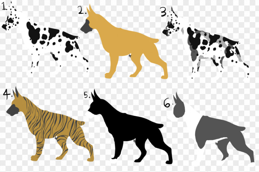 Cat Dog Breed Tiger Non-sporting Group PNG