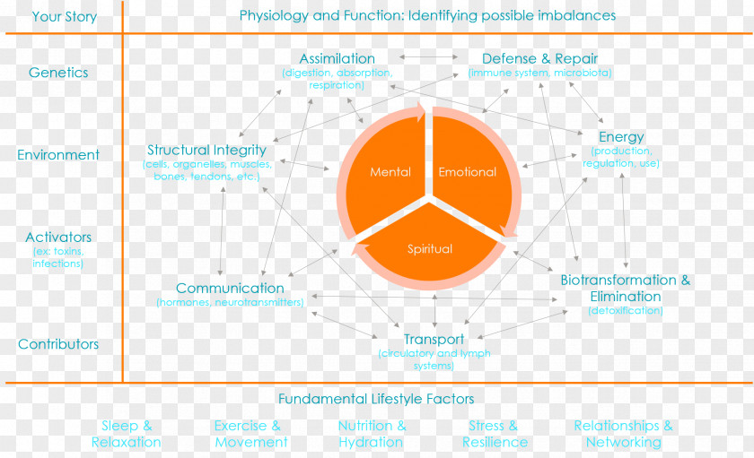 Design Brand Web Analytics Organization PNG