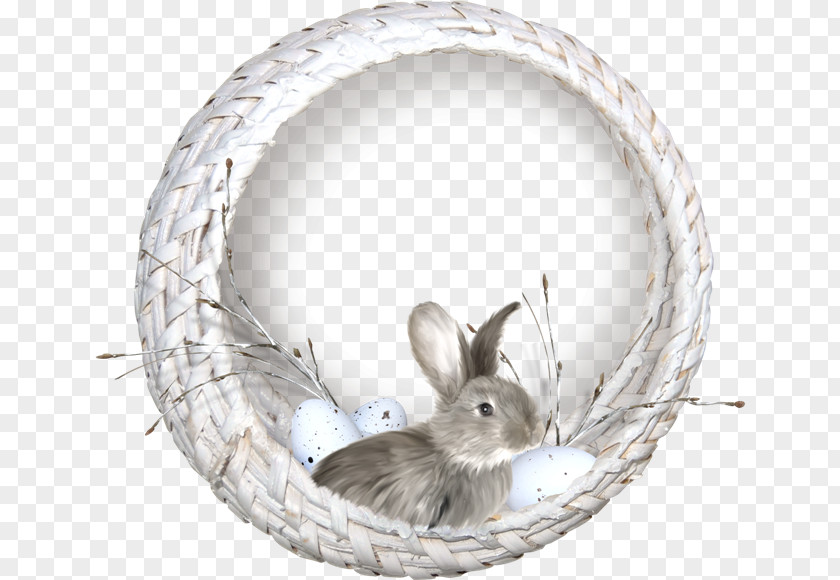Easter Bunny Basket Rabbit Egg PNG
