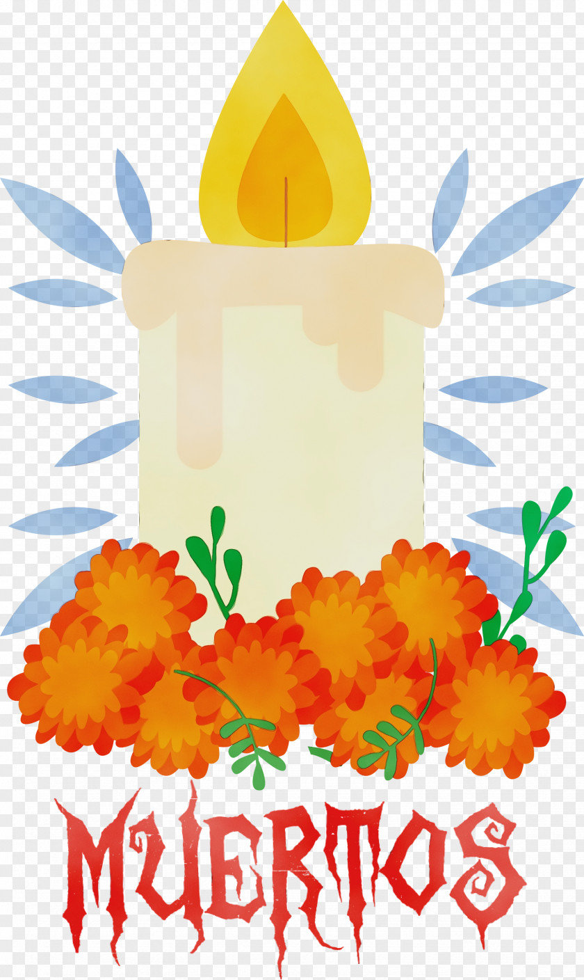 Floral Design PNG