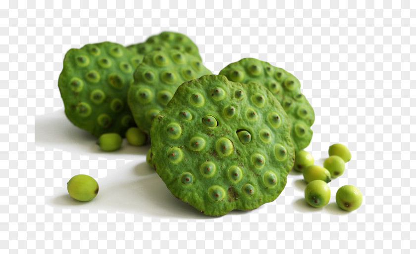 Fresh Green Lotus Seeds Seed Congee Tong Sui Chinese Food Therapy PNG