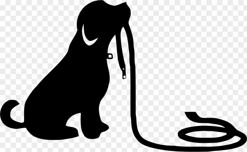 Hund Cat Dog Leash Puppy Obedience School PNG