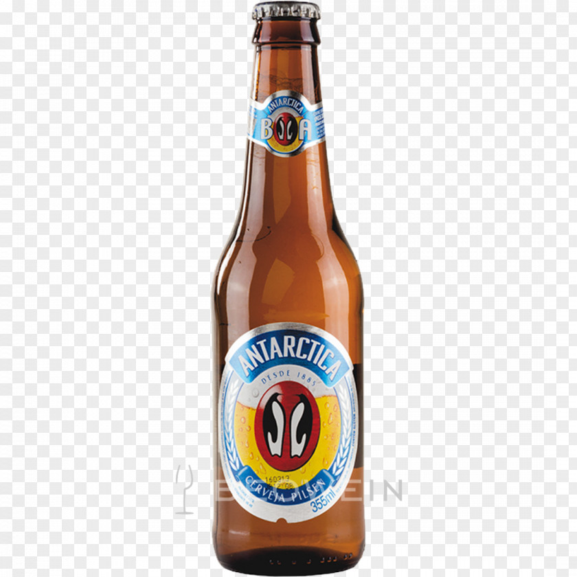 Nose Lager Budweiser Beer Brazil Pilsner PNG