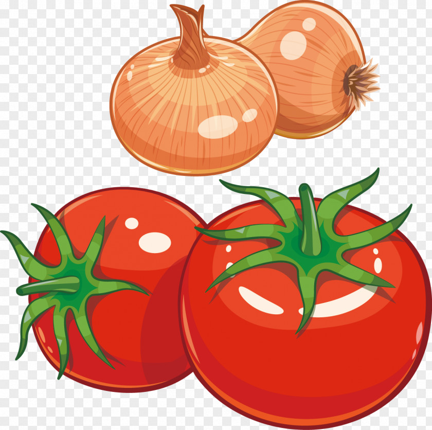 Tomato Vector Juice Pizza Soup PNG