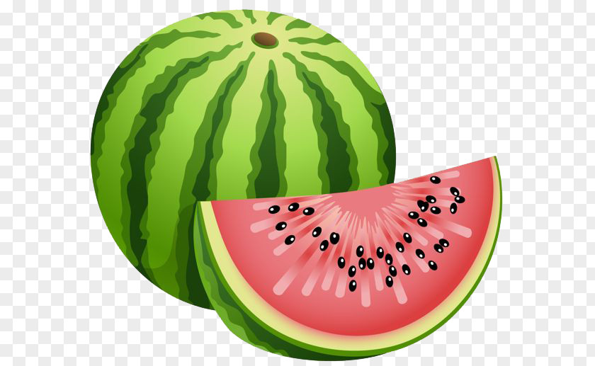 Watermelon Image Clip Art PNG