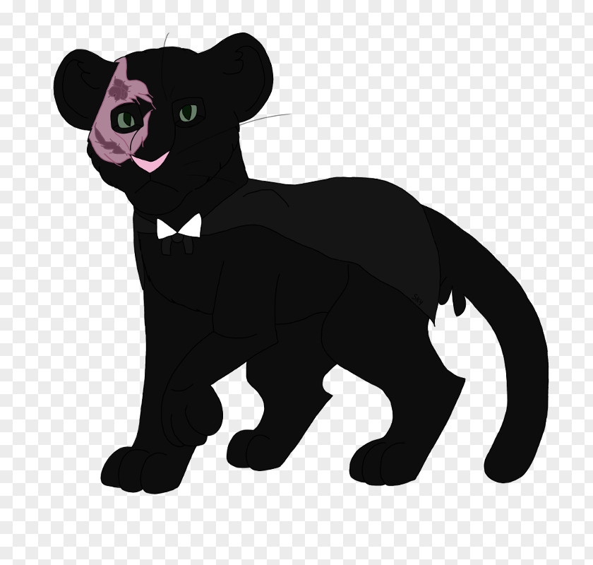 Cat Black Panther Leopard Cougar Felidae PNG
