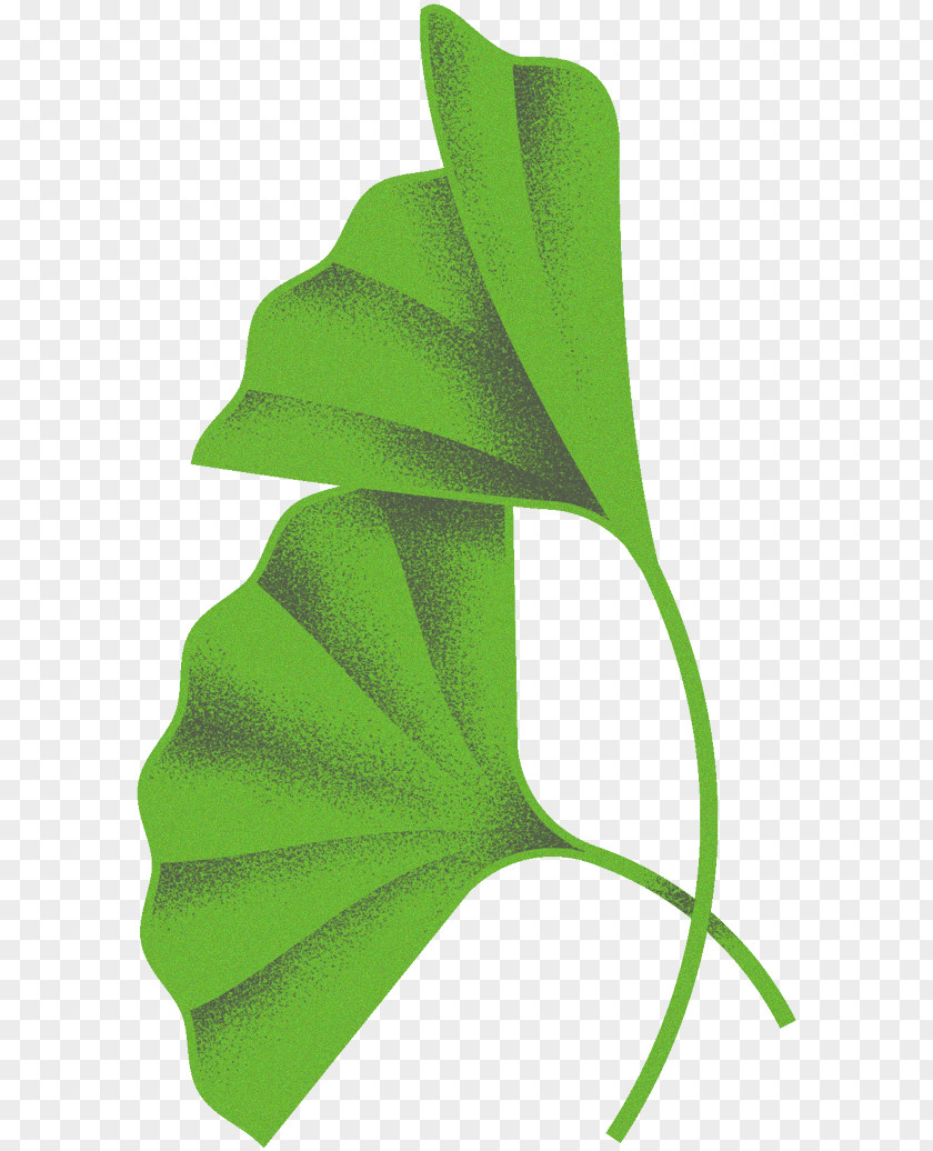 Leaf 2015 UCI Road World Championships Plant Stem Clip Art PNG