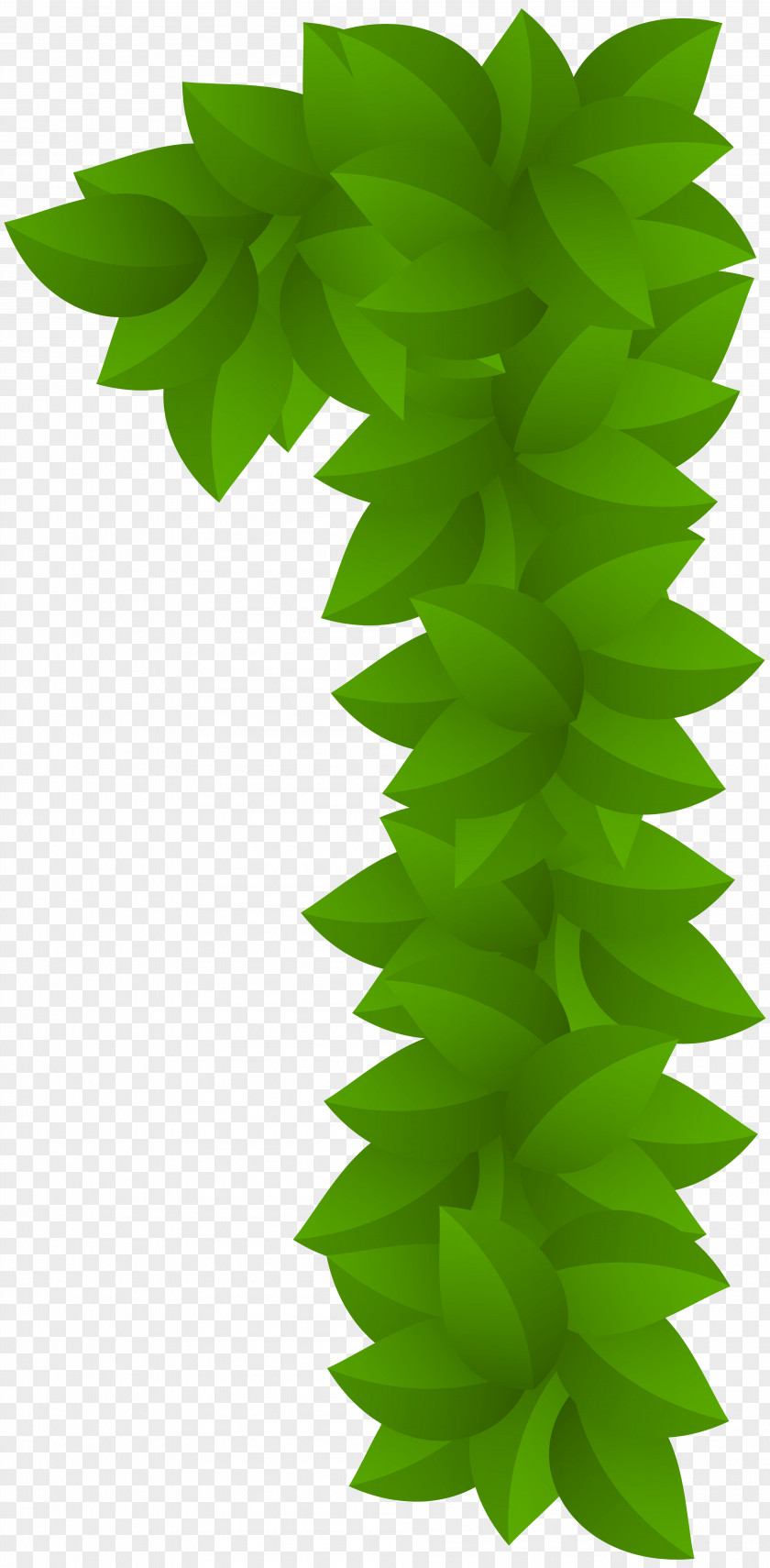 Leaf Number One Green Clip Art Image PNG