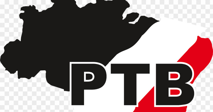 Politics Brazilian Labour Party Political Partidos Políticos De Brasil PNG