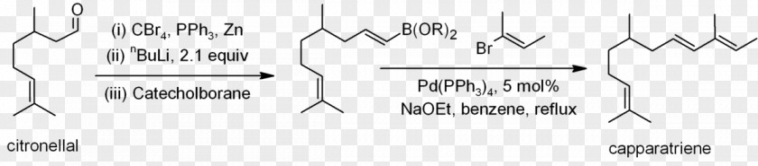 Alkene Suzuki Reaction Chemical Synthesis Total PNG