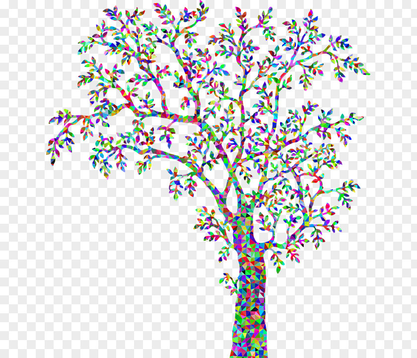Arbrecolore Silhouette Tree Royalty-free PNG