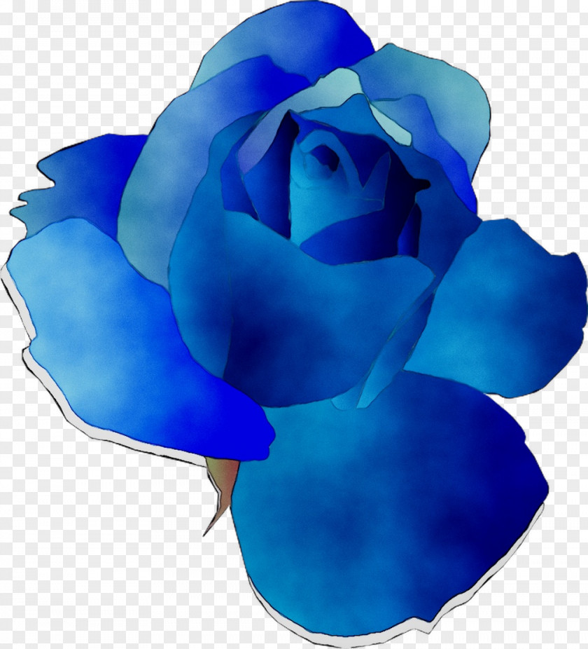 Blue Rose Garden Roses Cut Flowers PNG