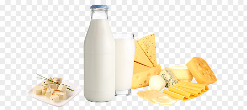 Fiction Plant Milk Dairy Products Lactose PNG