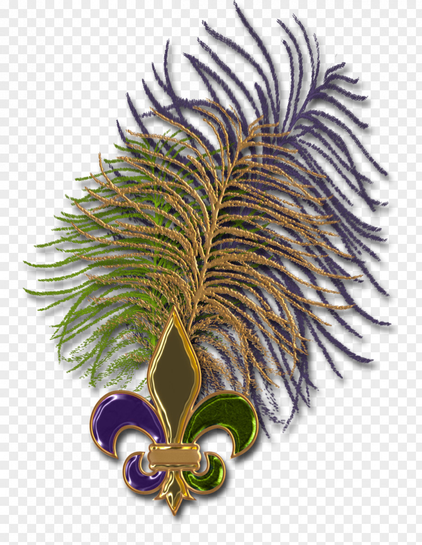 Mardi Gras Bead Arecaceae Tree PNG