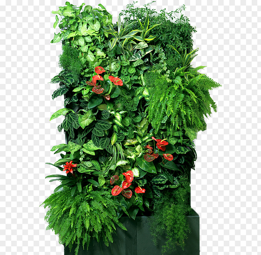 Vertical Houseplant Flowerpot Green Wall Garden PNG