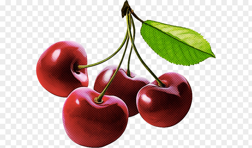 Cherry Fruit Plant European Plum Food PNG