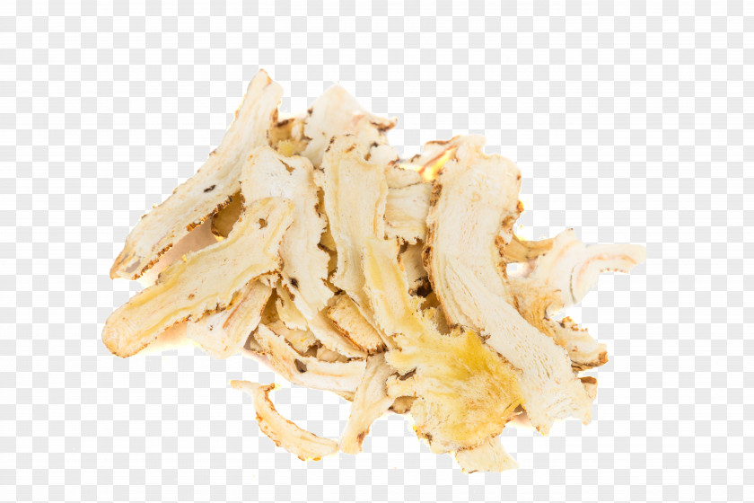 Female Ginseng Stock Photography Chinese Herbology PNG