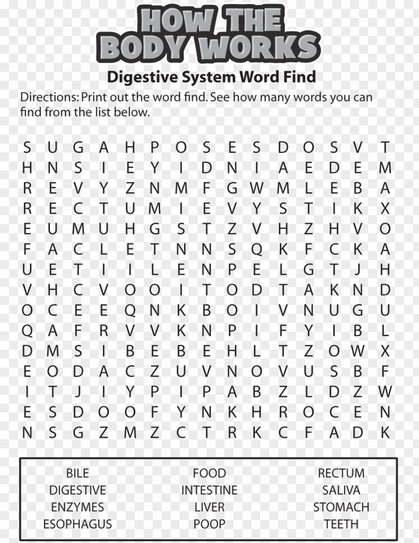 Heart Circulatory System Word Search Human Body Respiratory PNG