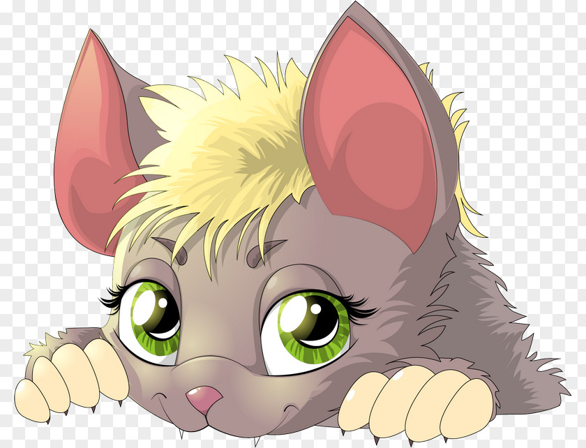 Whiskers Drawing PNG