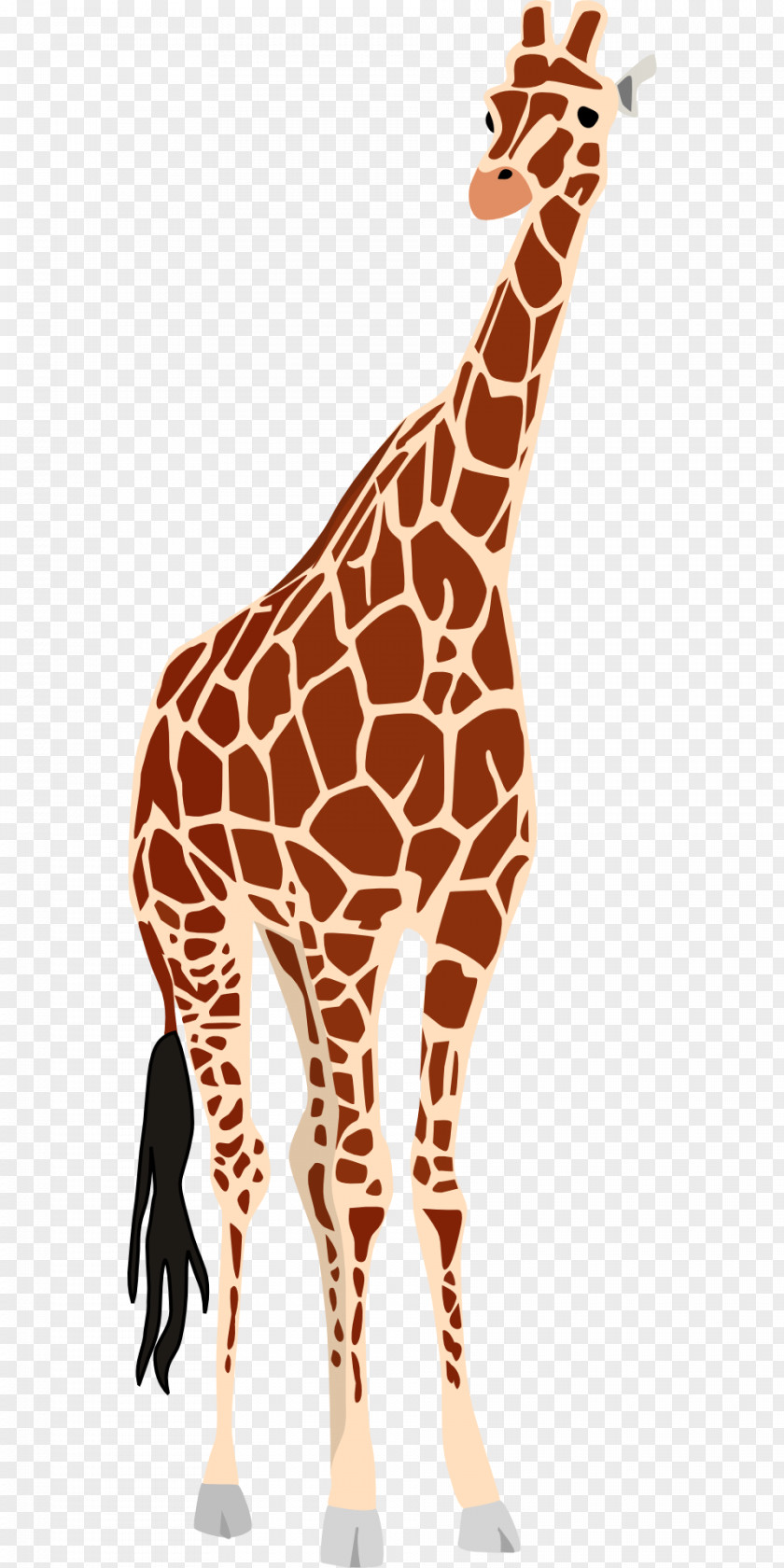 Giraffe Okapi Clip Art PNG