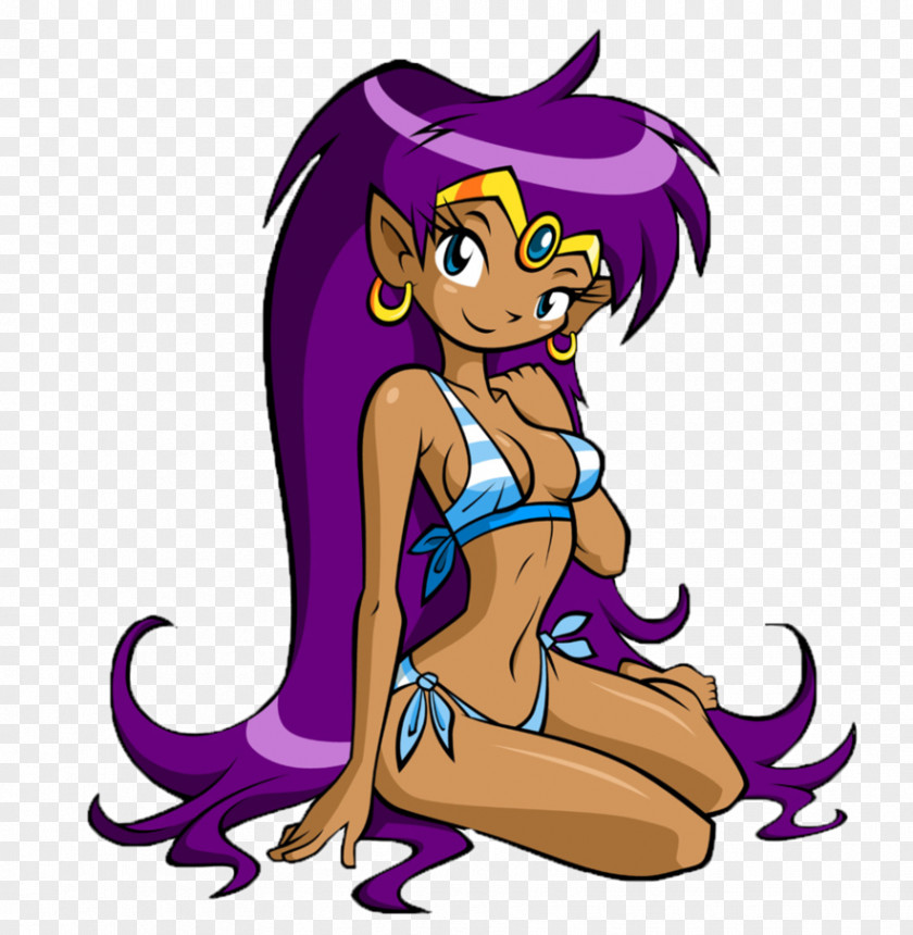 Shantae: Risky's Revenge Shantae And The Pirate's Curse Half-Genie Hero Swimsuit Video Game PNG