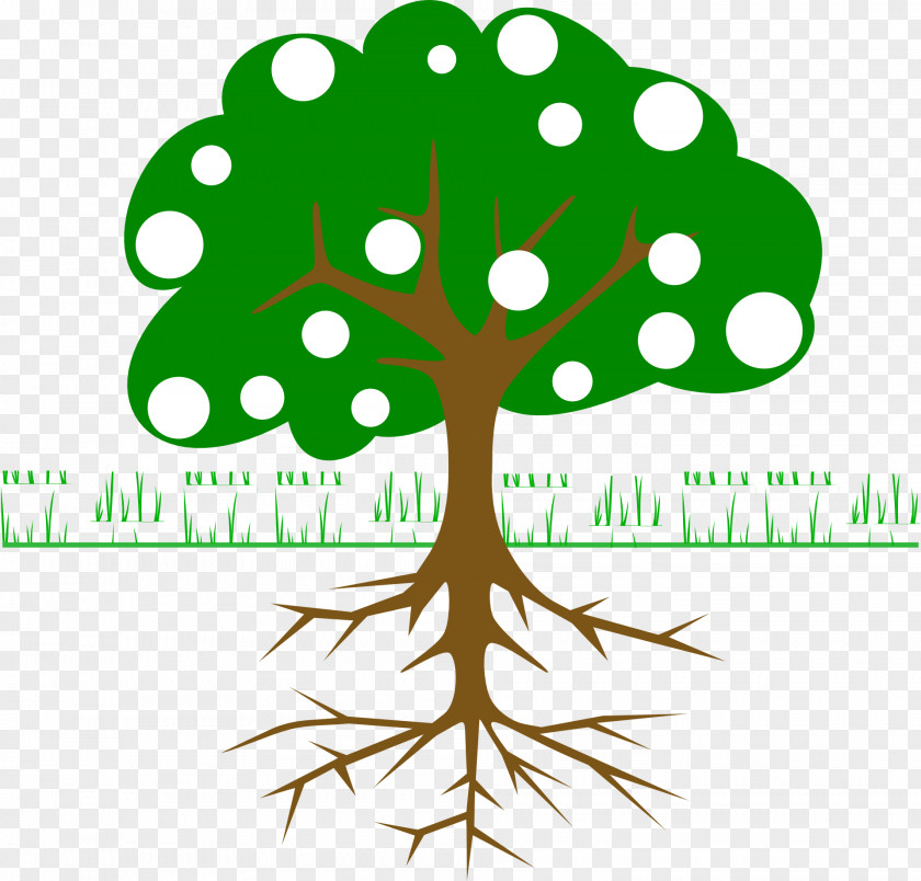 Tree Clip Art Root Plant Stem Vector Graphics Illustration PNG