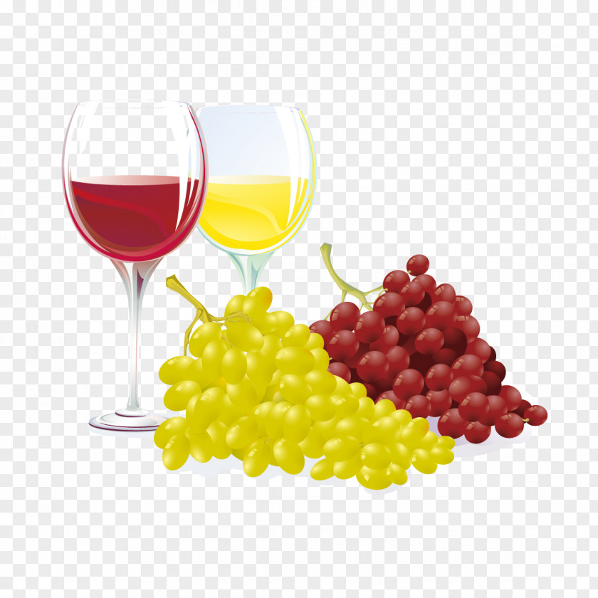 Vector Wine Red Common Grape Vine Microsoft PowerPoint PNG