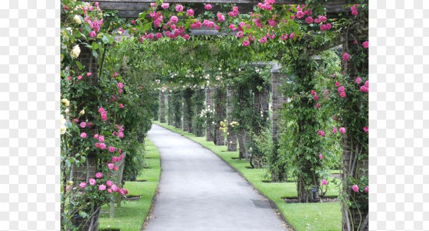 Garden Estate Pergola Royal Botanic Gardens, Kew Vine Rose PNG