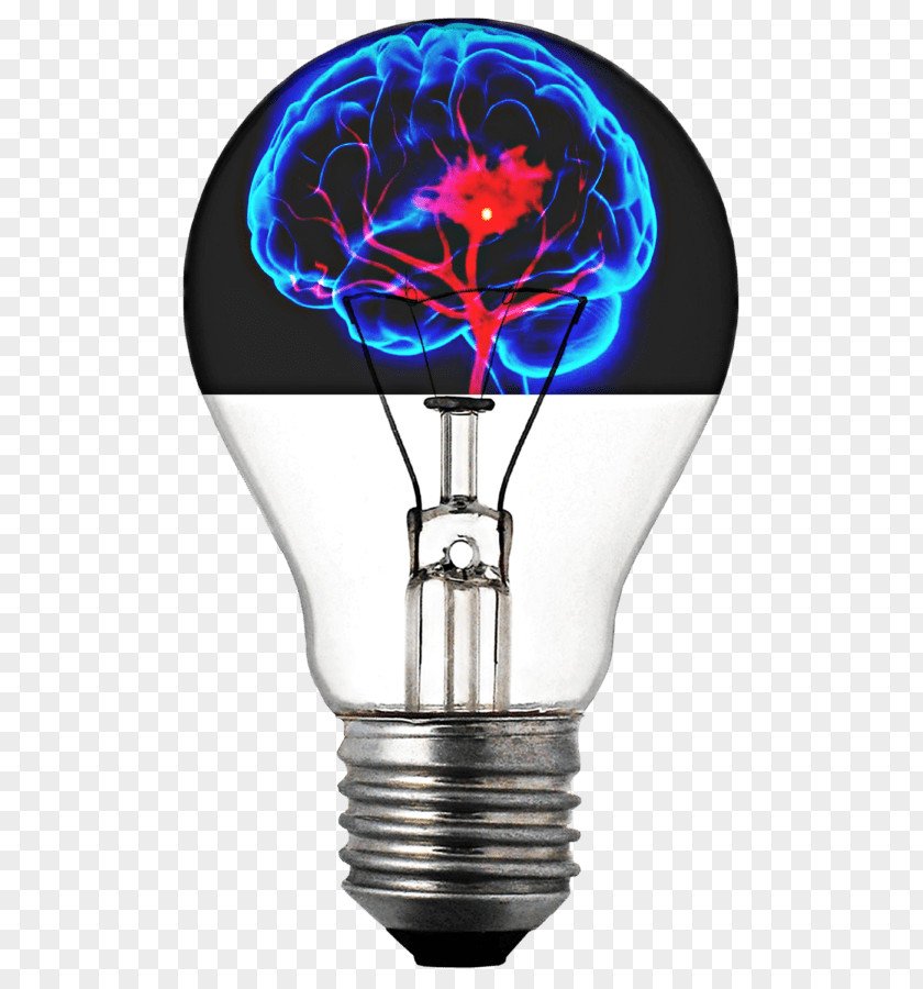 Light Incandescent Bulb Image Electric PNG