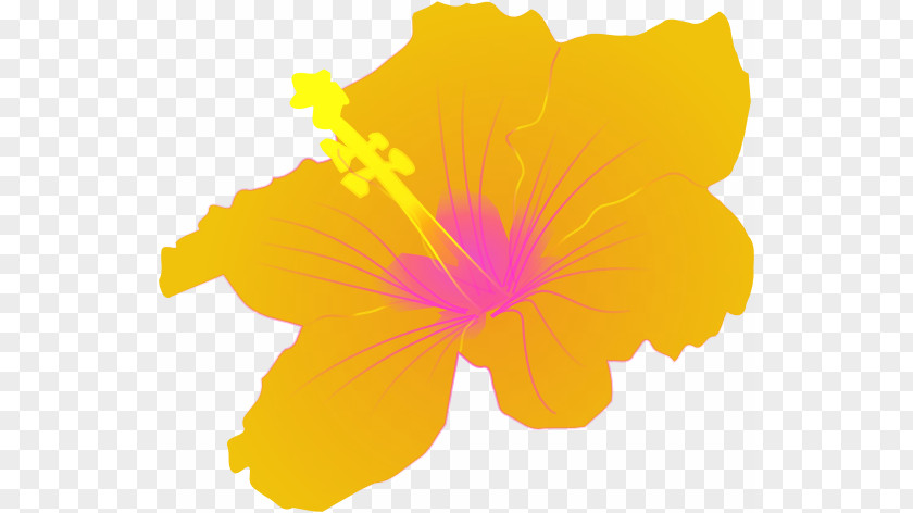 Orange Hibiscus Cliparts Roselle Common Hawaiian Clip Art PNG