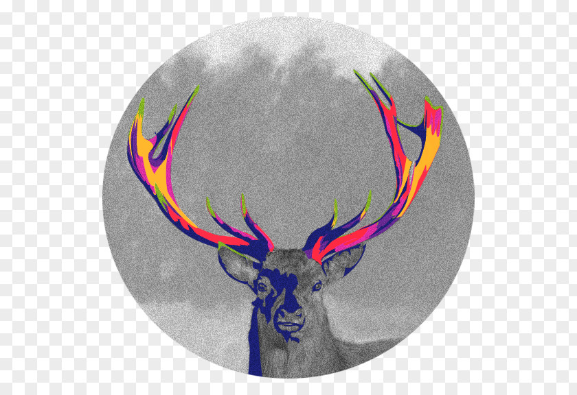 Antler Reindeer PNG