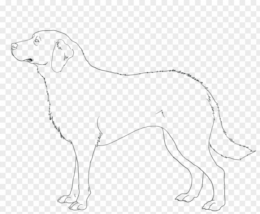 Dog Breed Companion Retriever Line Art PNG
